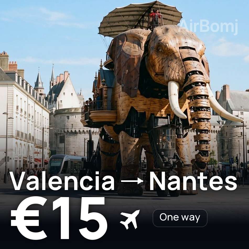 Flight ticket: Valencia to Nantes, €15