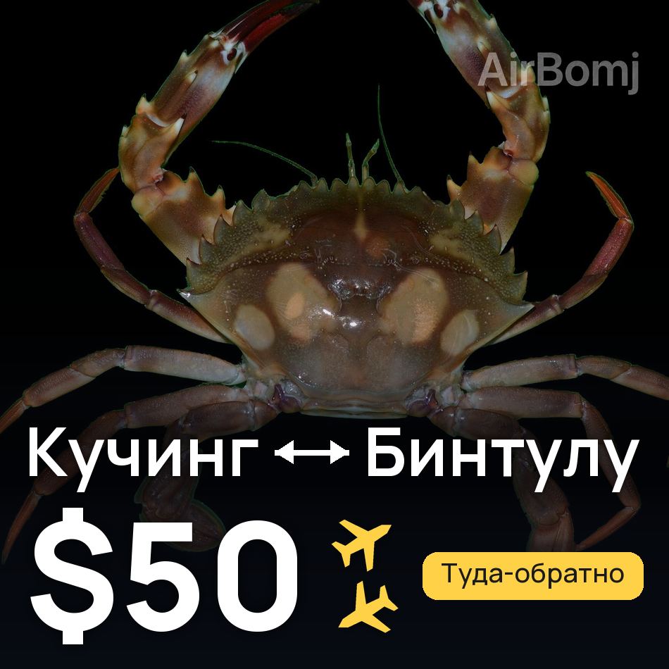 Авіаквиток: Кучинг — Bintulu, $50