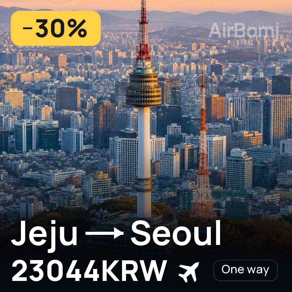 تذكرة طيران: چيچو — سول، 23044KRW