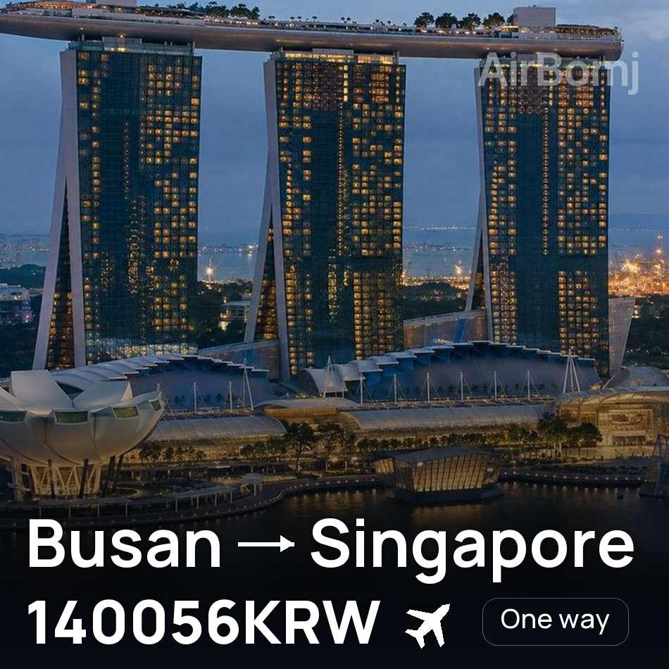 Biglietto aereo: Busan — Singapore, 140056KRW