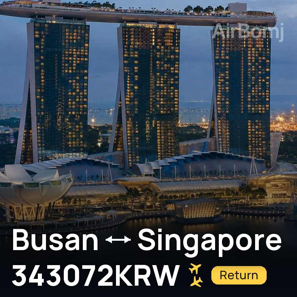 Biglietto aereo: Busan — Singapore, 343072KRW