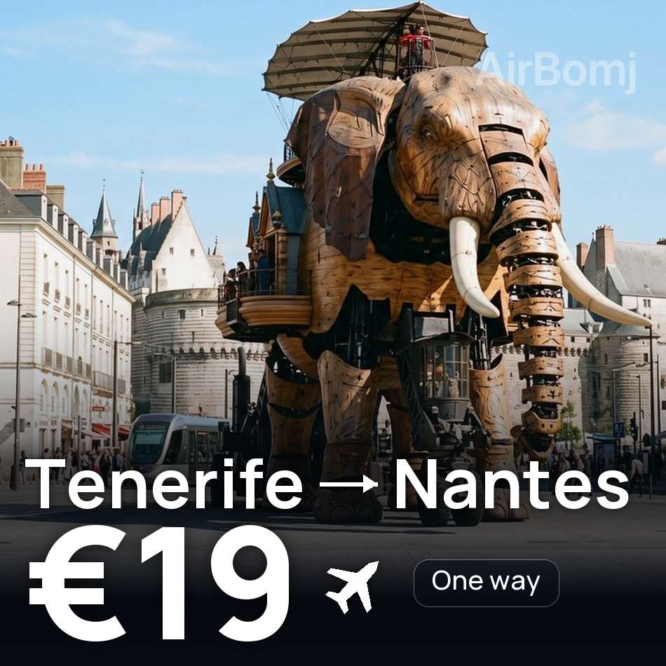Biglietto aereo: Tenerife — Nantes, €19