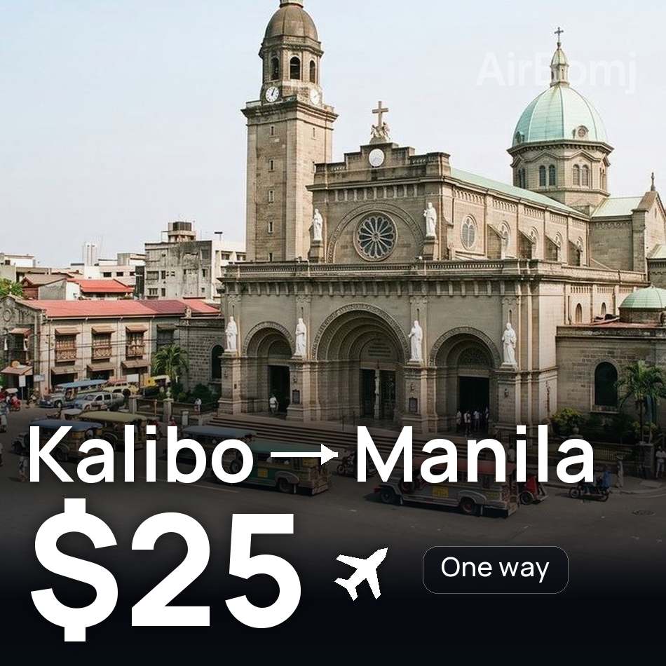Flight ticket: Kalibo to Manila, $25