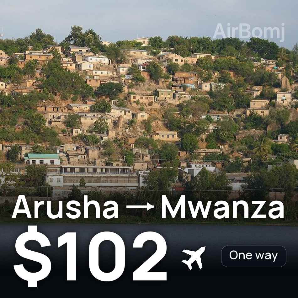 Billet d'avion : Arusha — Mwanza, $102