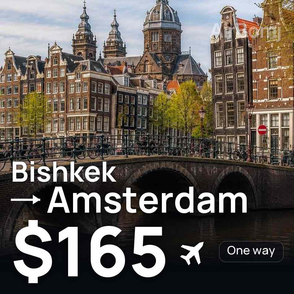 Flight ticket: Bishkek to Amsterdam, $165