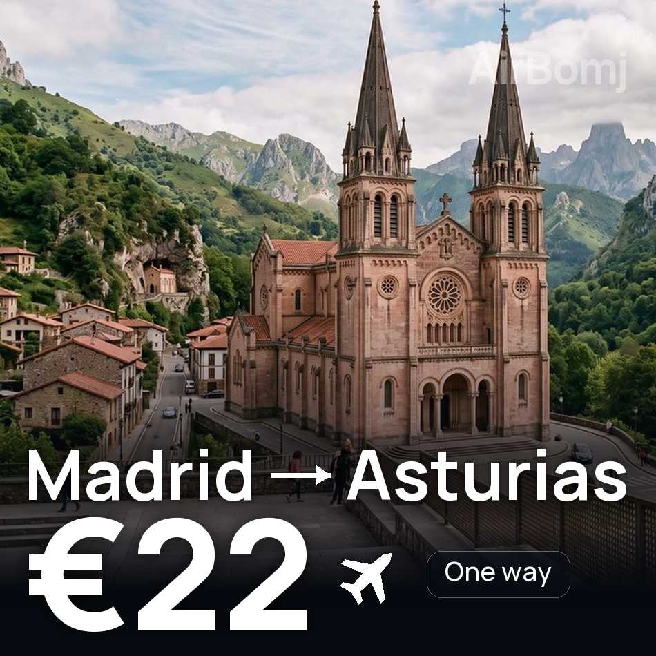 Biglietto aereo: Madrid — Asturias, €22