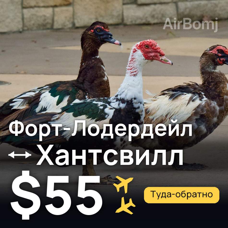 Авиабилет: Форт-Лодердейл — Хантсвилл, $55