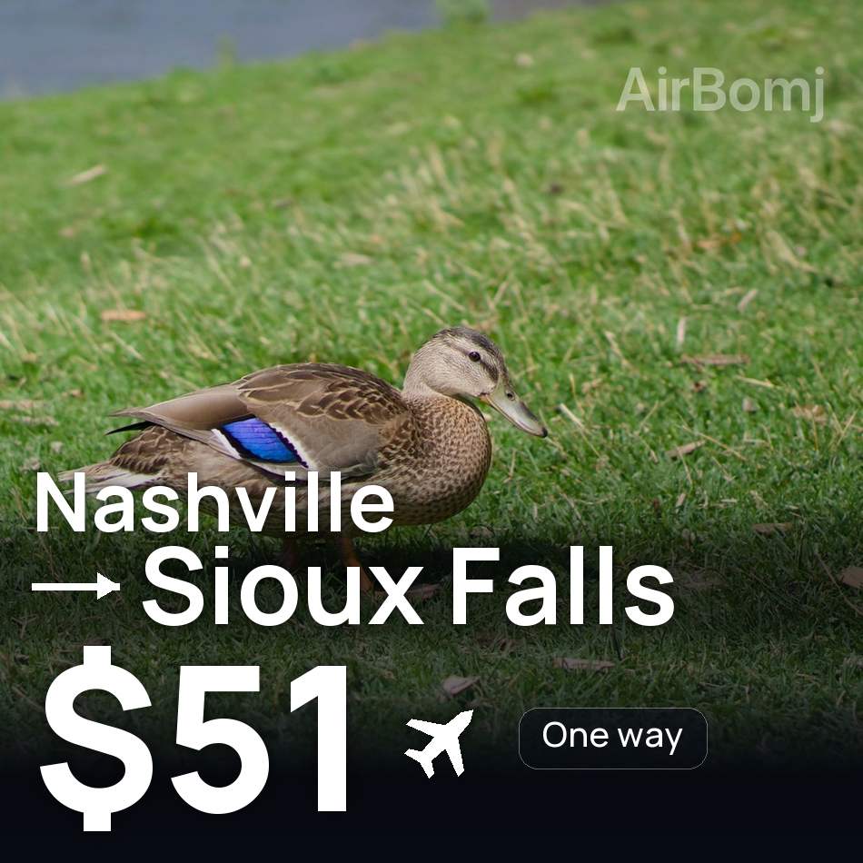 Flight ticket: Nashville to Sioux Falls, $51