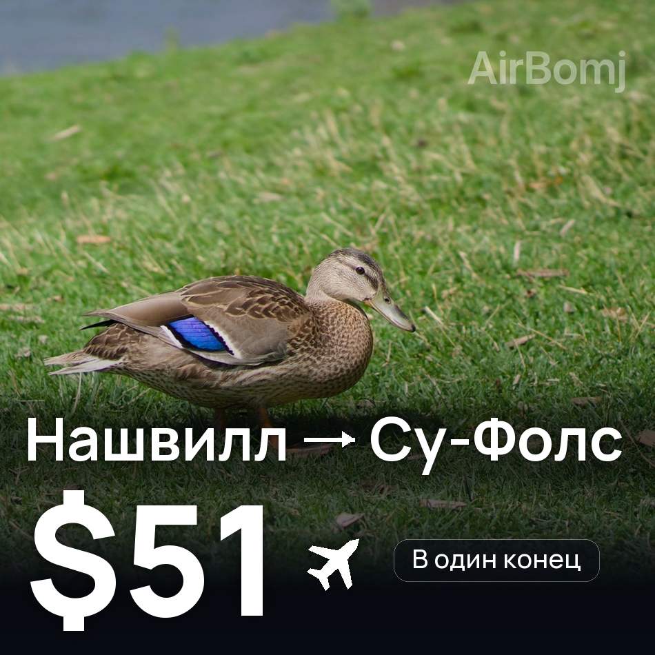 Авиабилет: Нашвилл — Су-Фолс, $51