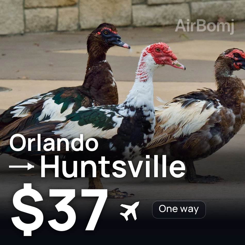 Bilet de avion: Orlando — Huntsville, $37