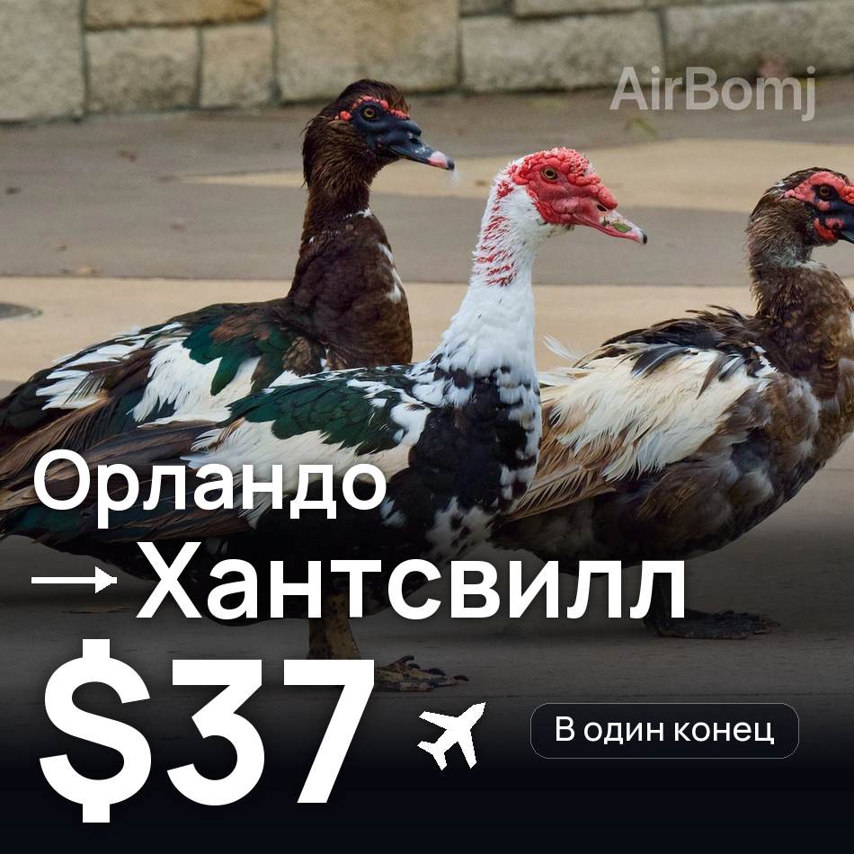 Авиабилет: Орландо — Хантсвилл, $37