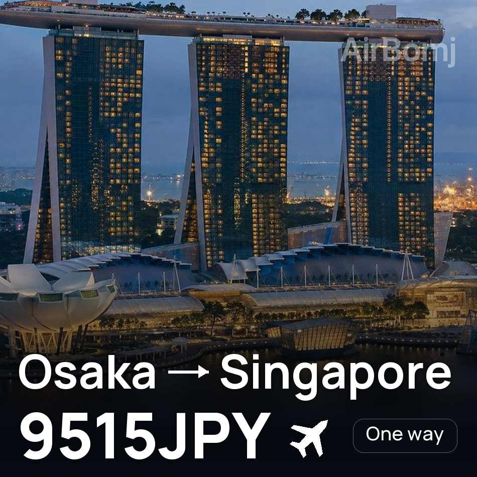 Flight ticket: Osaka to Singapore, 9515JPY