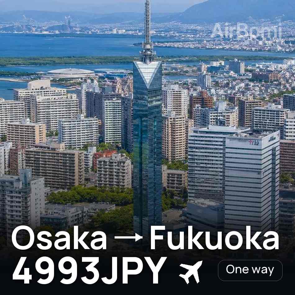 Flight ticket: Osaka to Fukuoka, 4993JPY