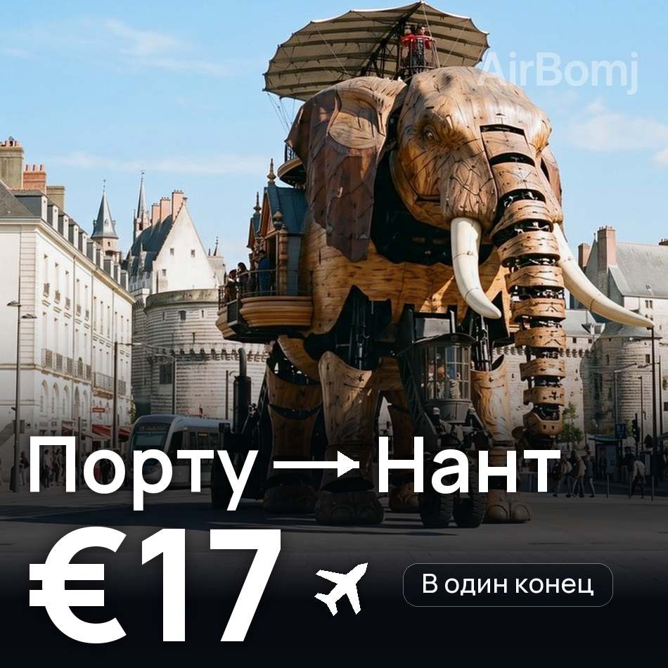 Авиабилет: Порту — Нант, €17
