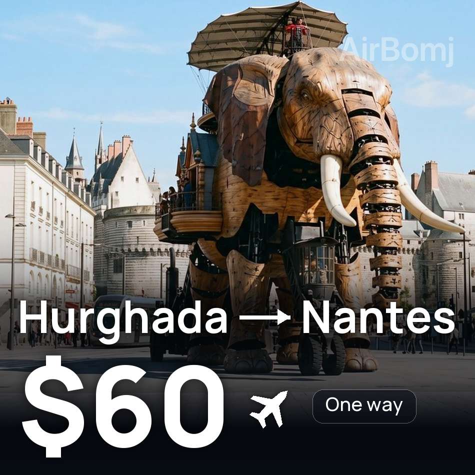 Uçak bileti: Hurgada — Nantes, $60
