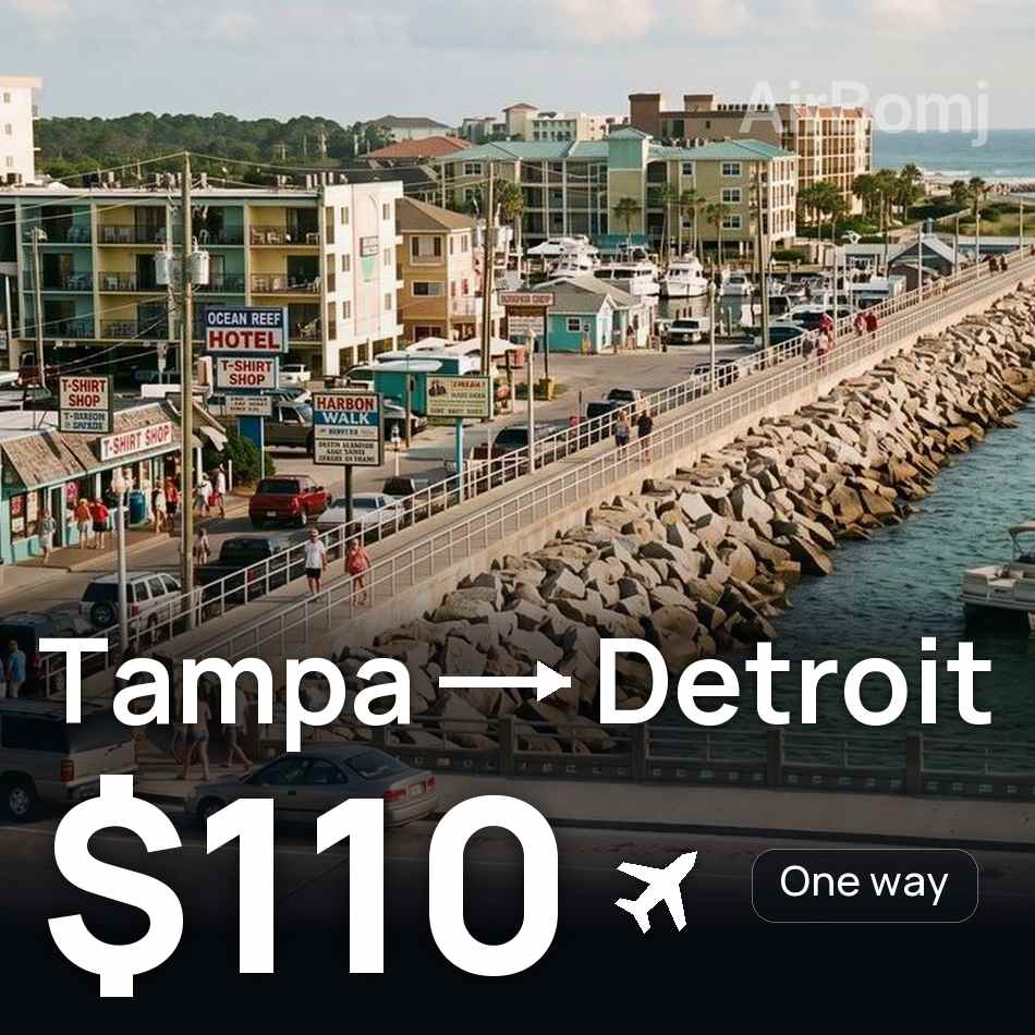 Biglietto aereo: Tampa — Detroit, $110