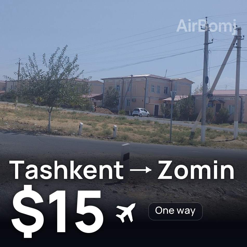 Flight ticket: Tashkent to Zomin, $15