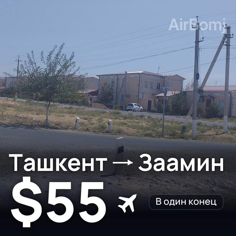 Авиабилет: Ташкент — Заамин, $55