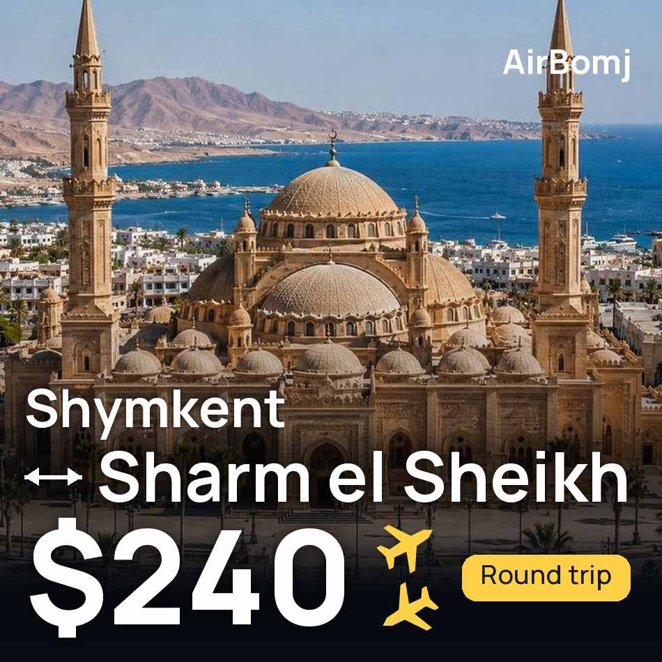 تذكرة طيران: شيمكنت — شرم الشيخ، $240