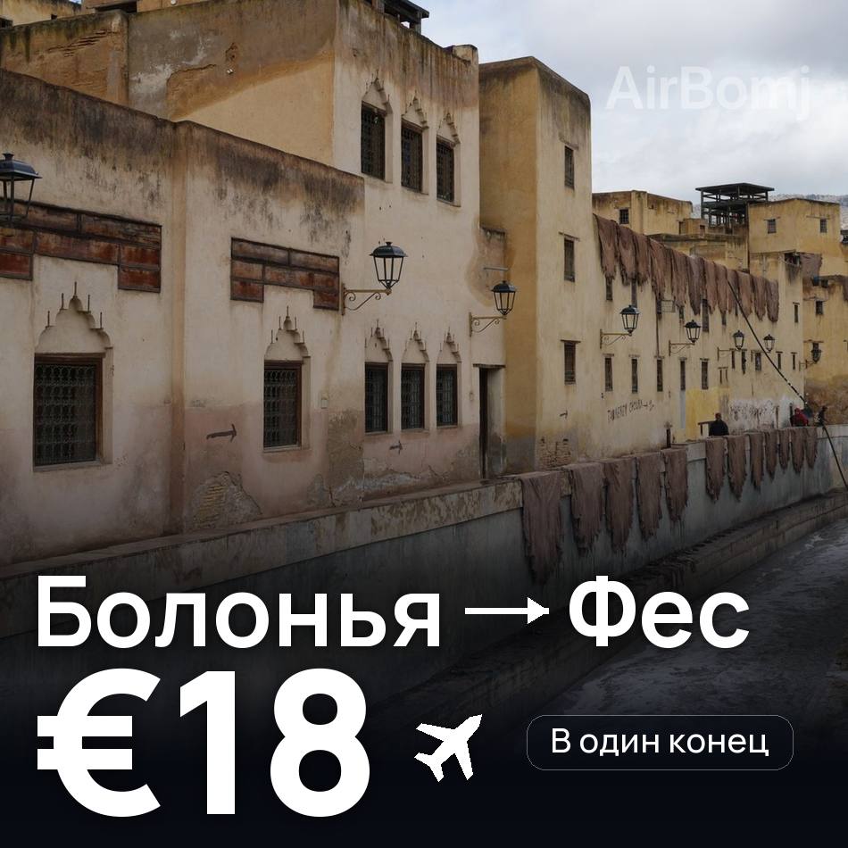 Авиабилет: Болонья — Фес, €18