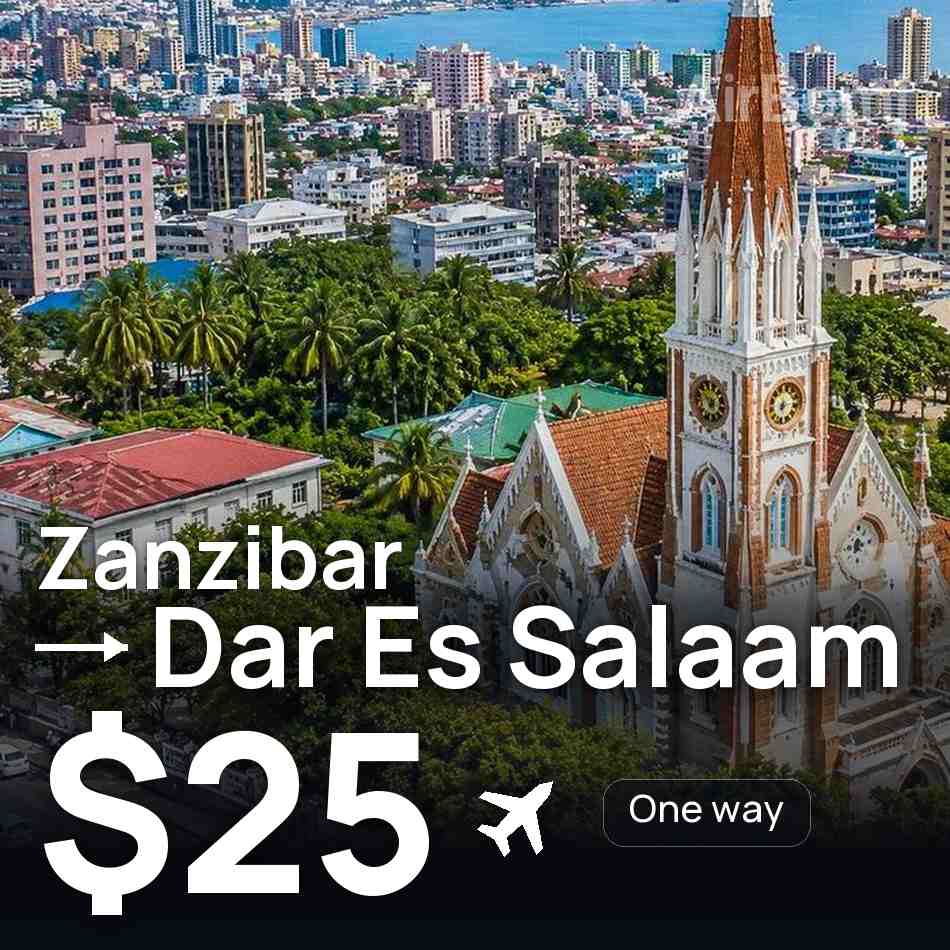 Bilet lotniczy: Zanzibar (miasto) — Dar es Salaam, $25