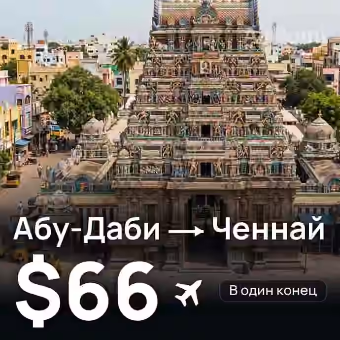 Абу-Даби → Ченнай за $66