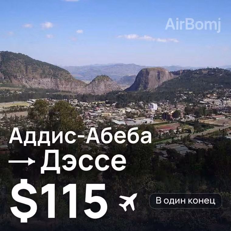 Аддис-Абеба → Дэссе за $115