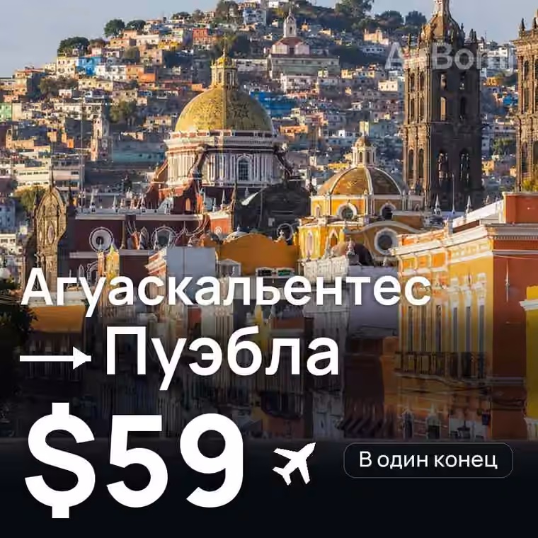 Агуаскальентес → Пуэбла за $59