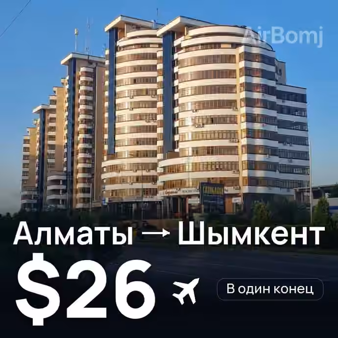 Алматы → Шымкент за $26