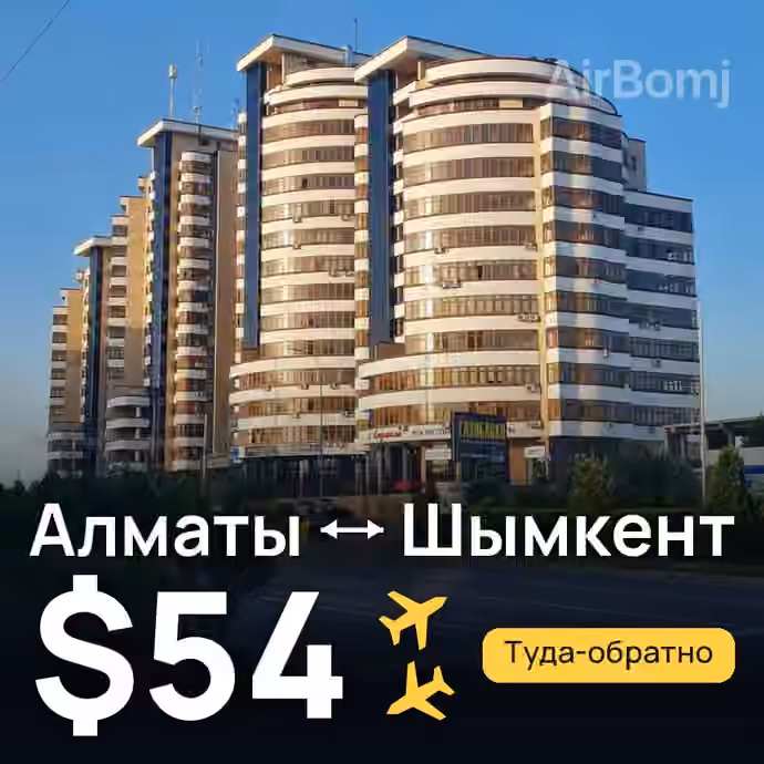 Алматы → Шымкент за $54