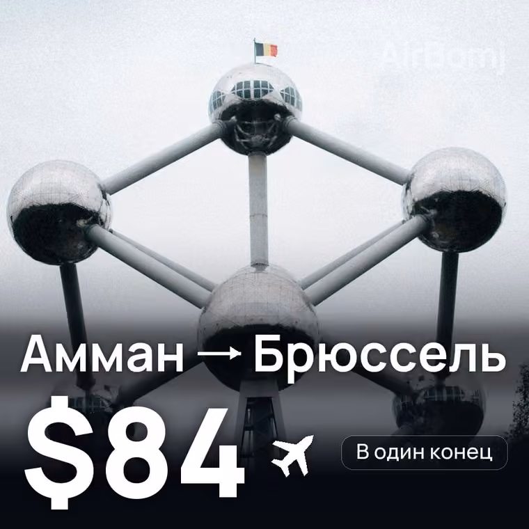Амман → Брюссель за $84