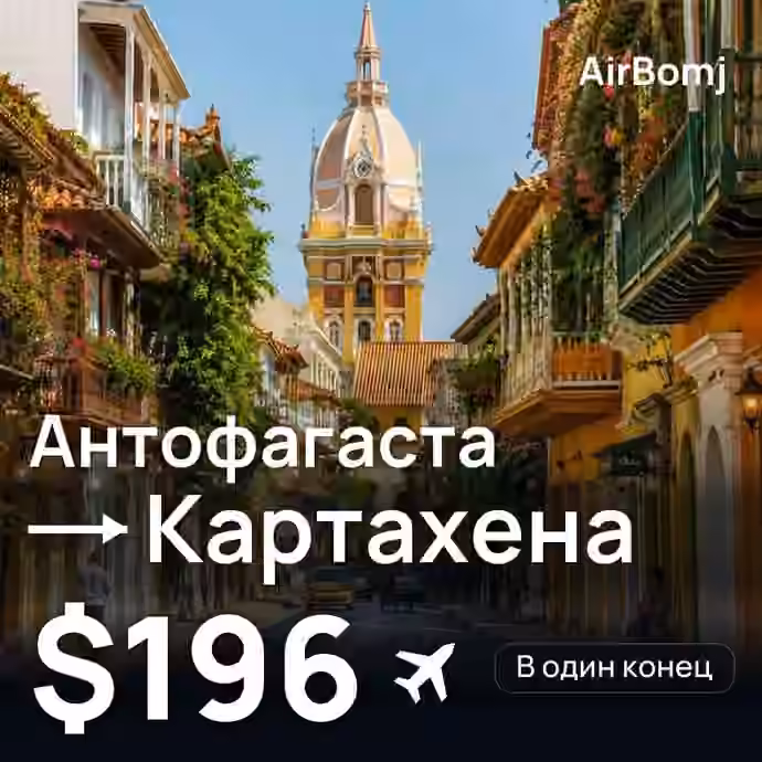Антофагаста → Картахена — лучшая цена $196