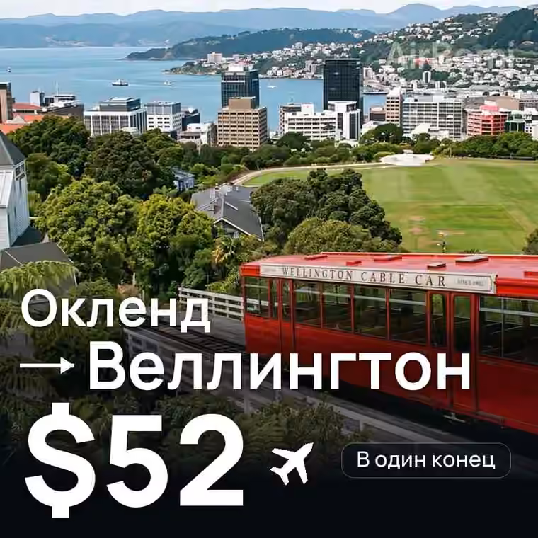 Окленд → Веллингтон за $52