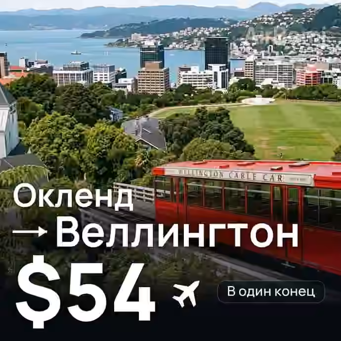 Окленд → Веллингтон за $54
