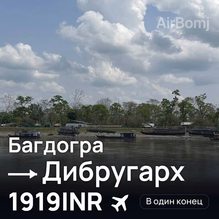 Багдогра → Дибругарх — лучшая цена 1919INR