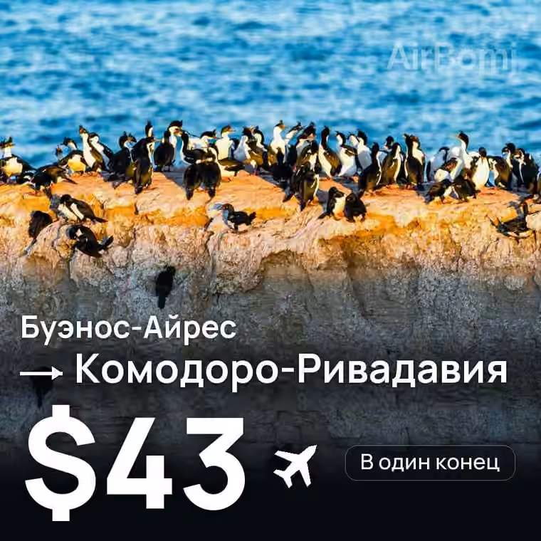 Буэнос-Айрес → Комодоро-Ривадавия за $43