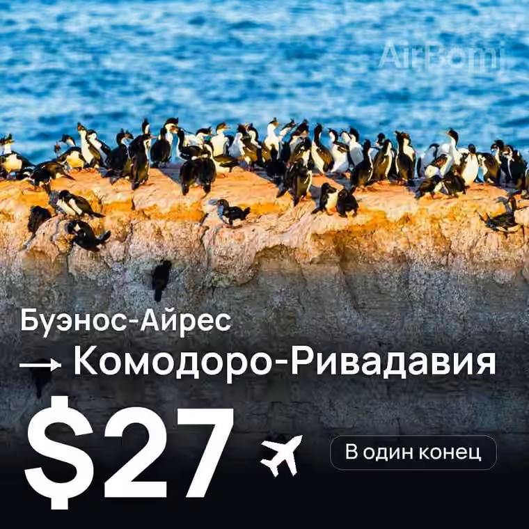 Буэнос-Айрес → Комодоро-Ривадавия за $27
