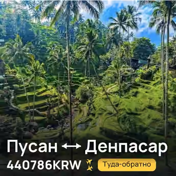 Пусан → Денпасар (Бали) за 440786KRW