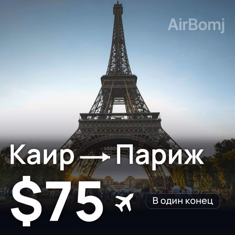 Каир → Париж за $81