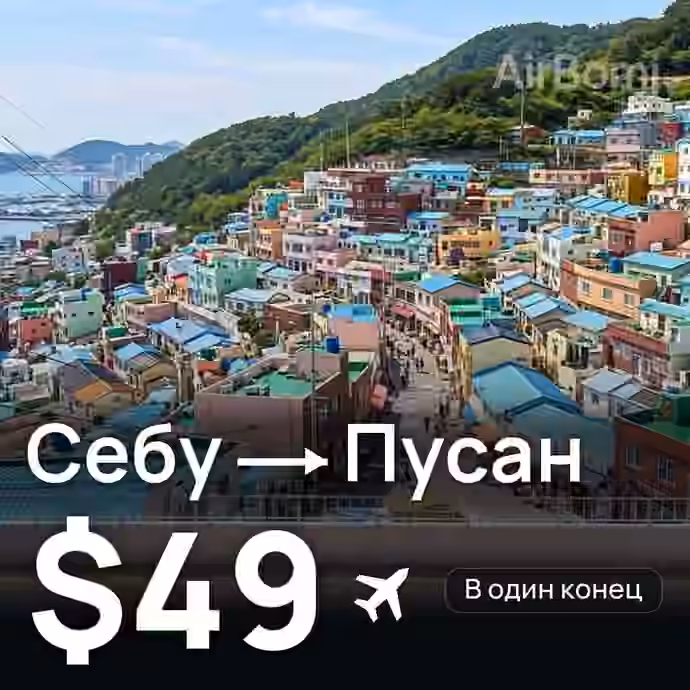 Себу → Пусан за $49