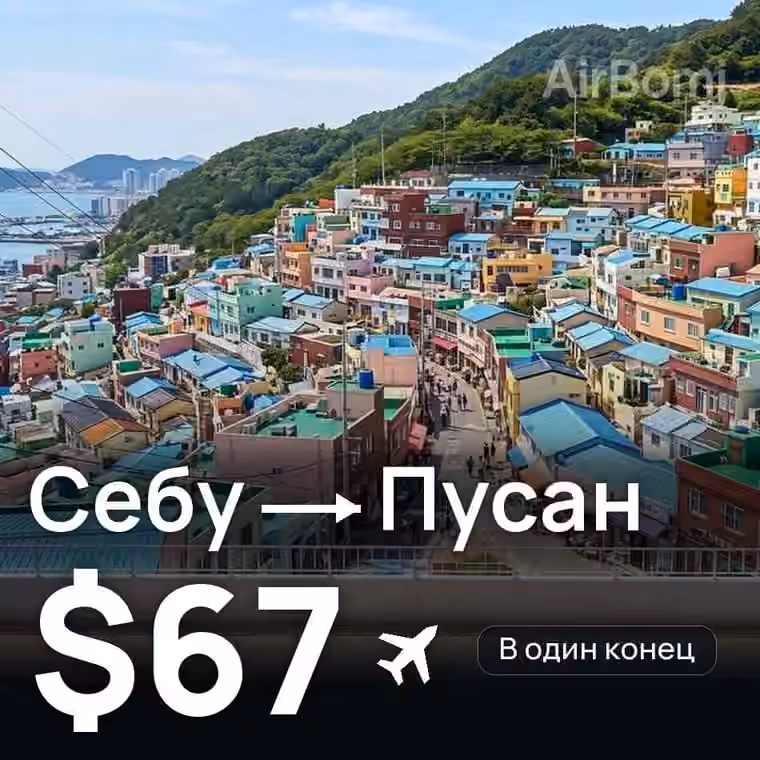 Себу → Пусан за $67