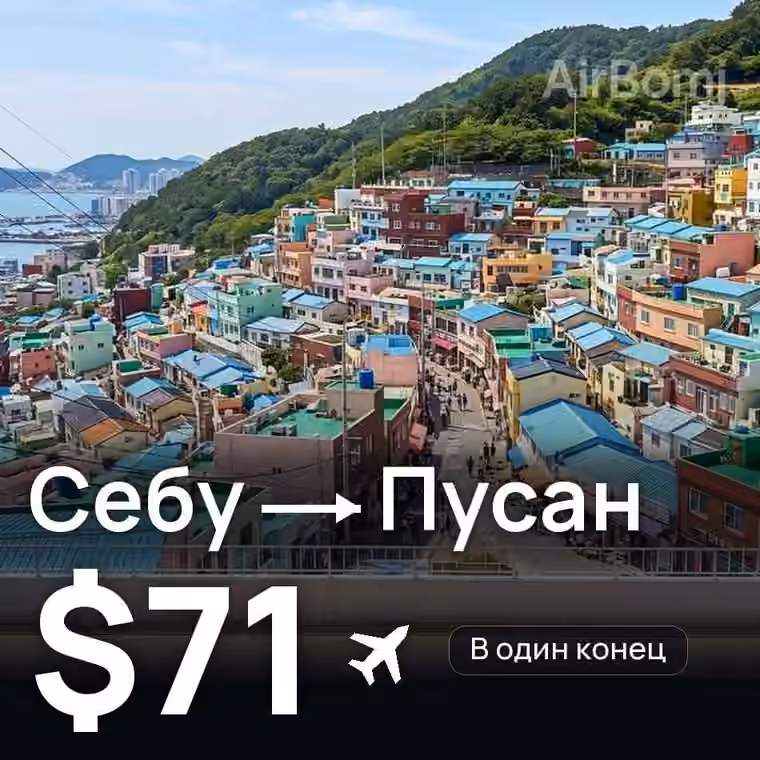 Себу → Пусан — лучшая цена $67