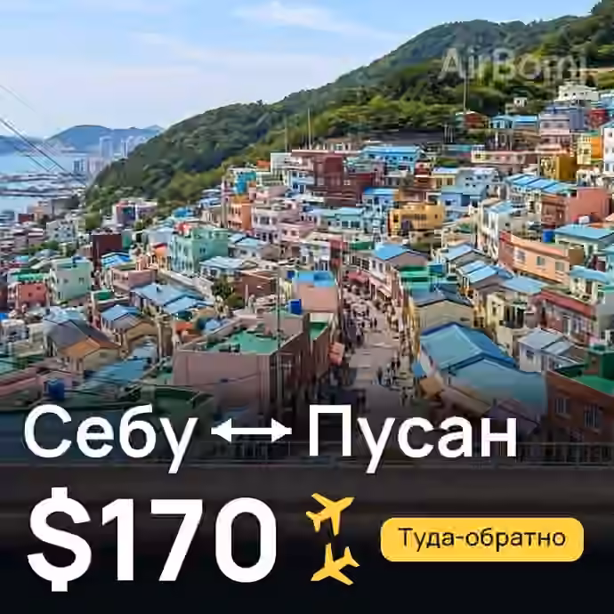 Себу → Пусан — лучшая цена $154