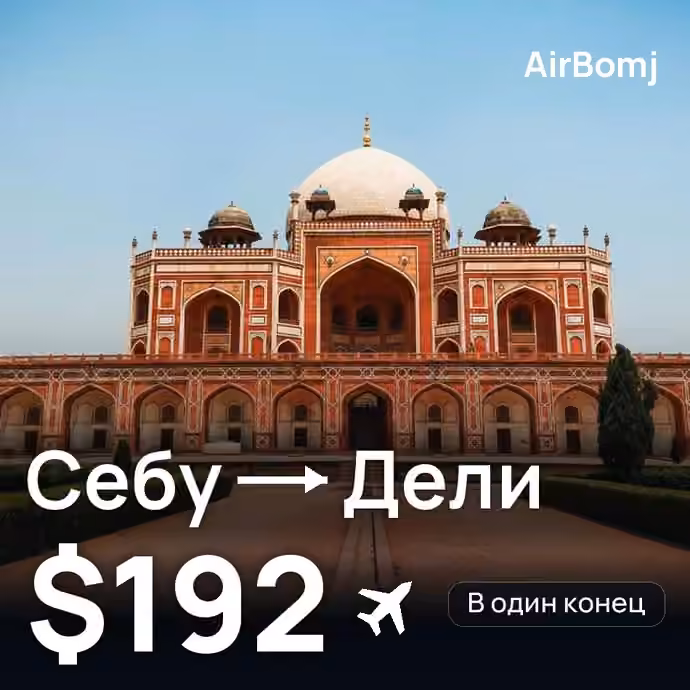 Себу → Дели — лучшая цена $175
