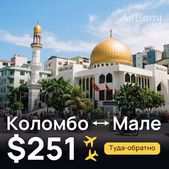 Коломбо → Мале за $251
