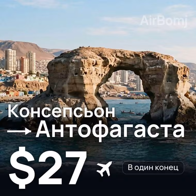 Консепсьон → Антофагаста за $27