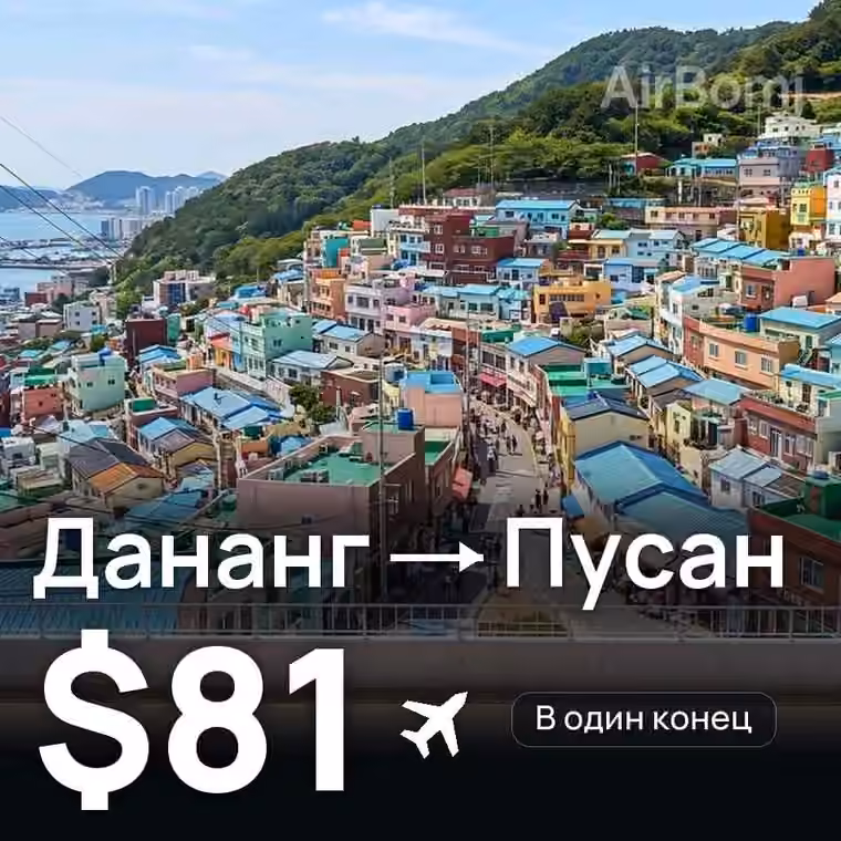 Дананг → Пусан — лучшая цена $81