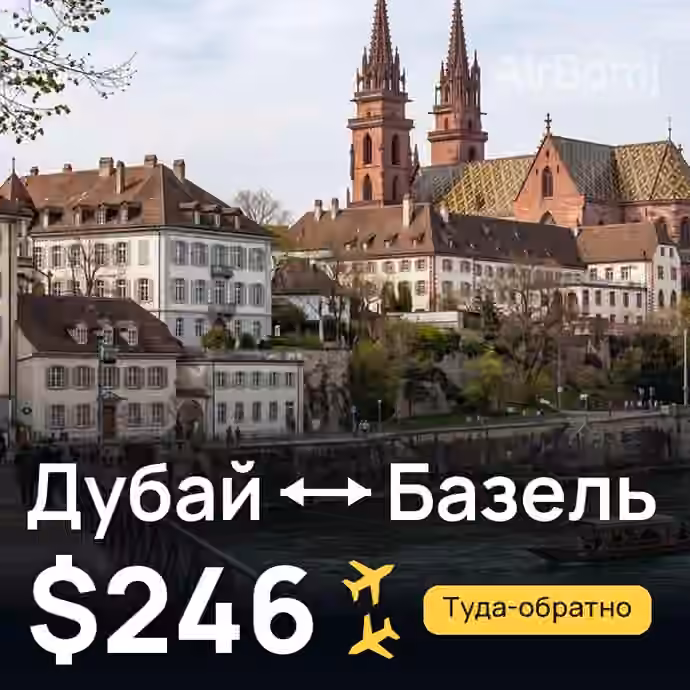 Дубай → Базель за $246