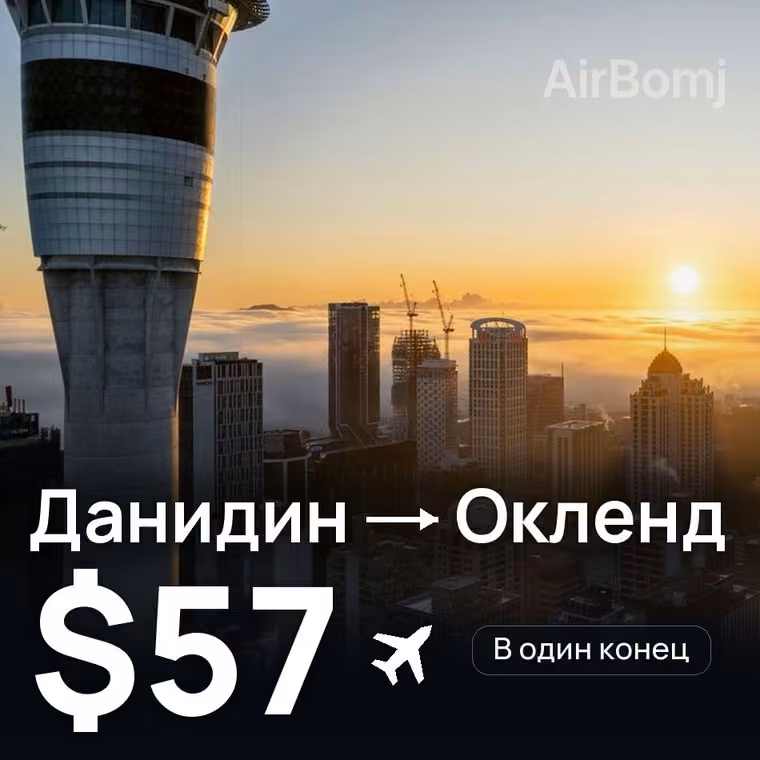 Данидин → Окленд за $57