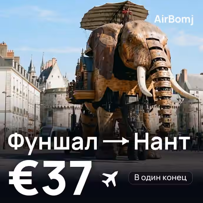 Фуншал (Мадейра) → Нант — лучшая цена €37